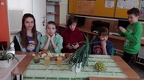 img 20170209 122703