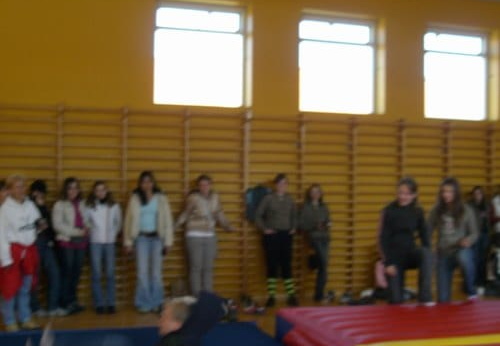 dansko 2008366