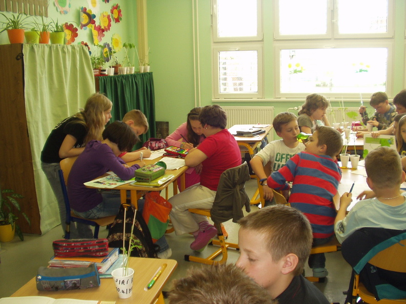 p1010026.jpg