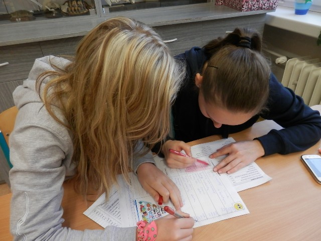 p1241774.jpg